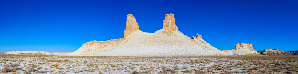Panoramic landscape of prehistoric Tethys Ocean rock pinnacles in Boszhira valley, Mangystau, Kazakhstan © Ployker