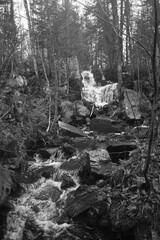 Sentier National St Mathieu Du Parc - n&b