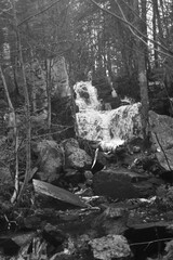 Sentier National St Mathieu Du Parc - n&b