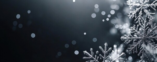 Elegant silver snowflakes on a dark glittery background