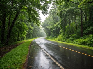 Fototapeta premium Wet Asphalt Road Under Rain: Tranquil Architectural Photography Surrounded by Lush Greenery, Evoking Calmness and Serenity in Nature's Embrace