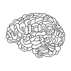 hand draw black white line brain