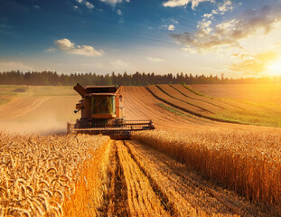 Fototapeta premium 農業イメージ