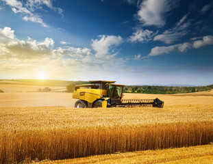 Obraz premium 農業イメージ