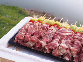 meat, food, beef, raw, steak, pork, dinner, meal, red, fresh, plate, white, cooking, barbecue, vegetable, isolated, roast, sausage, salad, slice, hamburger, minced, sliced, fat, lunch