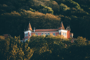 Fototapete bei efototapeten.de bestellen   