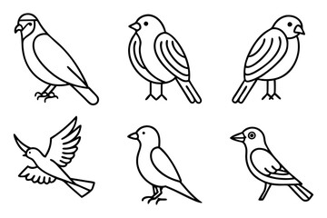 Set of bird icon vector illustration 