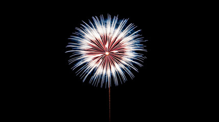 Fototapeta premium Colorful fireworks illuminate the night sky during a festive celebration