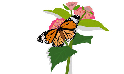 This is an illustration of a butterfly perched on a pink flower