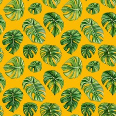 Fototapeta premium Monstera Leaves pattern