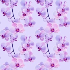 Fototapeta premium Orchid flower pattern