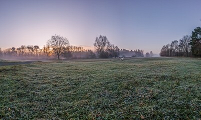 Frosty sunrise landscape with mist, trees, and open fields, capturing tranquil nature and serene...
