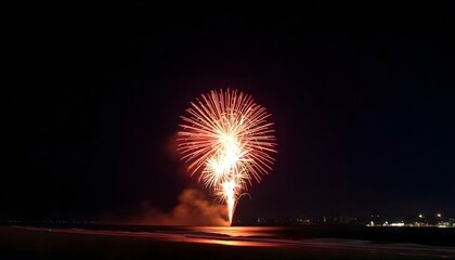  New Year fireworks by the beach.