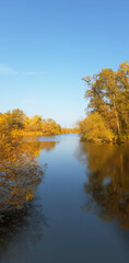 Vertical composition, autumn landscape, where against the background of the blue sky and the river, the colors of the sky - autumn trees, calmness, serenity dissolved in the transparent air