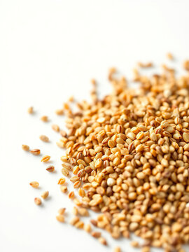 Shallow depth of field zira cumin jeera seeds with white copy space, text space, focus