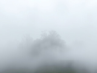 Fototapeta premium Soft watercolor foggy landscape with misty trees, serene landscape, misty trees, calming colors, serene surroundings, soft focus
