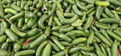 small cucumbers laid out in a pile for sale on a stall