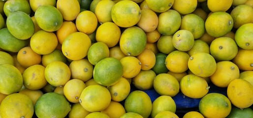 Lemons green and yellow some are ripe some not in a bunch