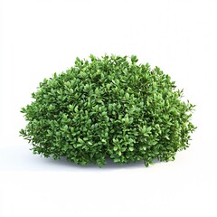 Fototapeta premium Lush Backyard Bush in Clean 3D Cartoon Style