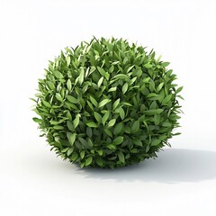 Lush Green Spherical Foliage Minimalist 3D Cartoon Style