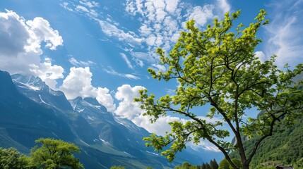 Obraz premium Lush green tree against majestic mountains bright blue sky