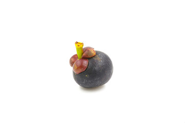 Fresh mangosteen on a white background