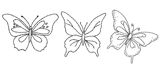 butterfly set outline