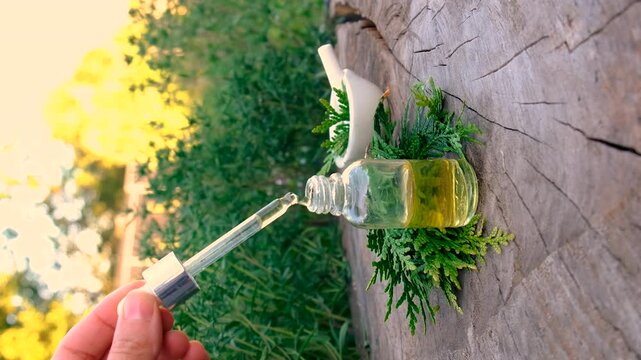 Thyme extract in a bottle. Selective focus. Nature.