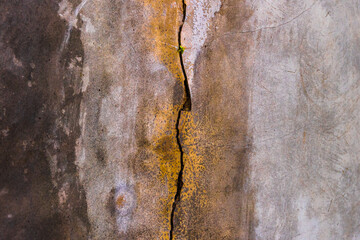 Damp and Dirty concrete wall abstract texture background.