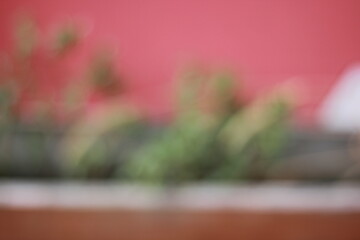 A vague view of plants growing along a red wall.