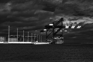 Rozładunek suwnic ze statku Zhen Hua 36 przy nabrzeżu terminalu kontenerowego w Gdańsku, Polska. © Aneta