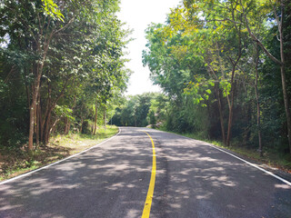 Obraz premium The beautiful yellow line on road with nature.