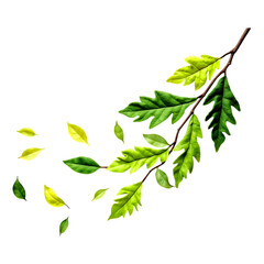 Obraz premium Green wool tree. Green tree made of felted wool on a transparent background. Tree leaves