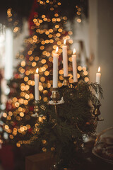 The house is decorated with Christmas decorations