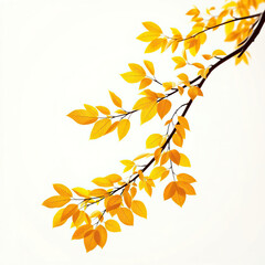 Obraz premium Close up of yellow fall leaves on a tree branch over a white backdrop, tranquil, natural, detail, environment