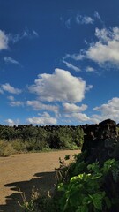 Autumn scenery of Jeju Island, Korea