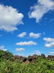 Autumn scenery of Jeju Island, Korea