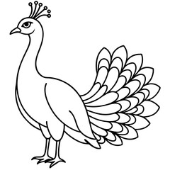 Naklejka premium illustration of a peacock black-and-white doodle sketchy vector illustration with a white background 