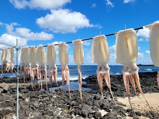 Squid, semi-dried squid, grilled squid