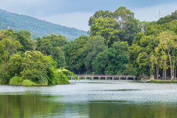 Fototapeta premium a public place leisure travel landscape lake views at Ang Kaew Chiang Mai University and Doi Suthep nature forest Mountain views spring cloudy sky background with white cloud.
