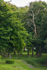 Fototapeta premium a public place leisure travel landscape lake views at Ang Kaew Chiang Mai University and Doi Suthep nature forest Mountain views spring cloudy sky background with white cloud.