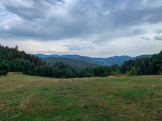 A peaceful meadow stretches before dense forests, with rolling hills and majestic mountains under a softly overcast sky.