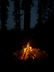 A crackling campfire illuminates the darkness of the forest, casting dancing shadows on the surrounding trees.