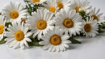 Fototapeta premium bouquet of daisies
