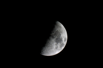 Luna © Steve Fossiant