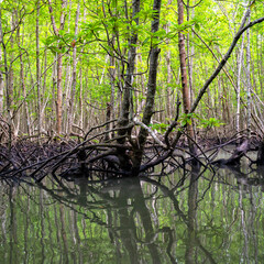 Krabi, Thailand. Andaman Sea. Beach tourism and relaxation	
