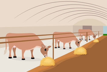 Farm Animals. Cute farm. Cows eat hay inside a barn in a farmyard. Collection of farm animals in a barnyard.
