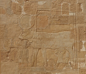 Fototapeta premium Wall relief of the goddess Hathor, Temple of Hatshepsut, Deir el-Bahari Egypt 
