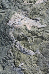 rock in the water