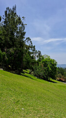 Hill landscape for natural picnic area